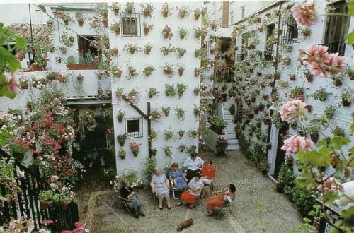 flores1.jpg